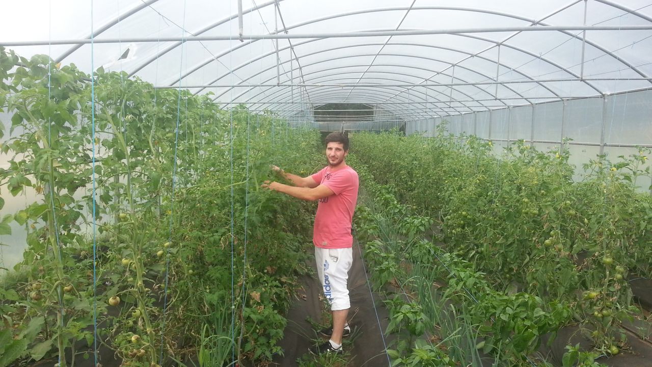 De cooperativa agraria a cooperativa de trabajo asociado