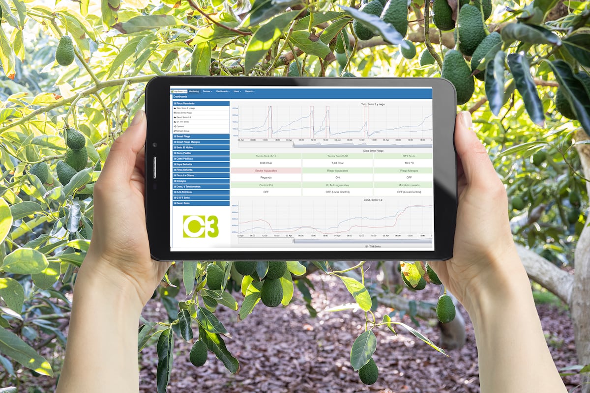 La digitalización de las cooperativas agrarias en España