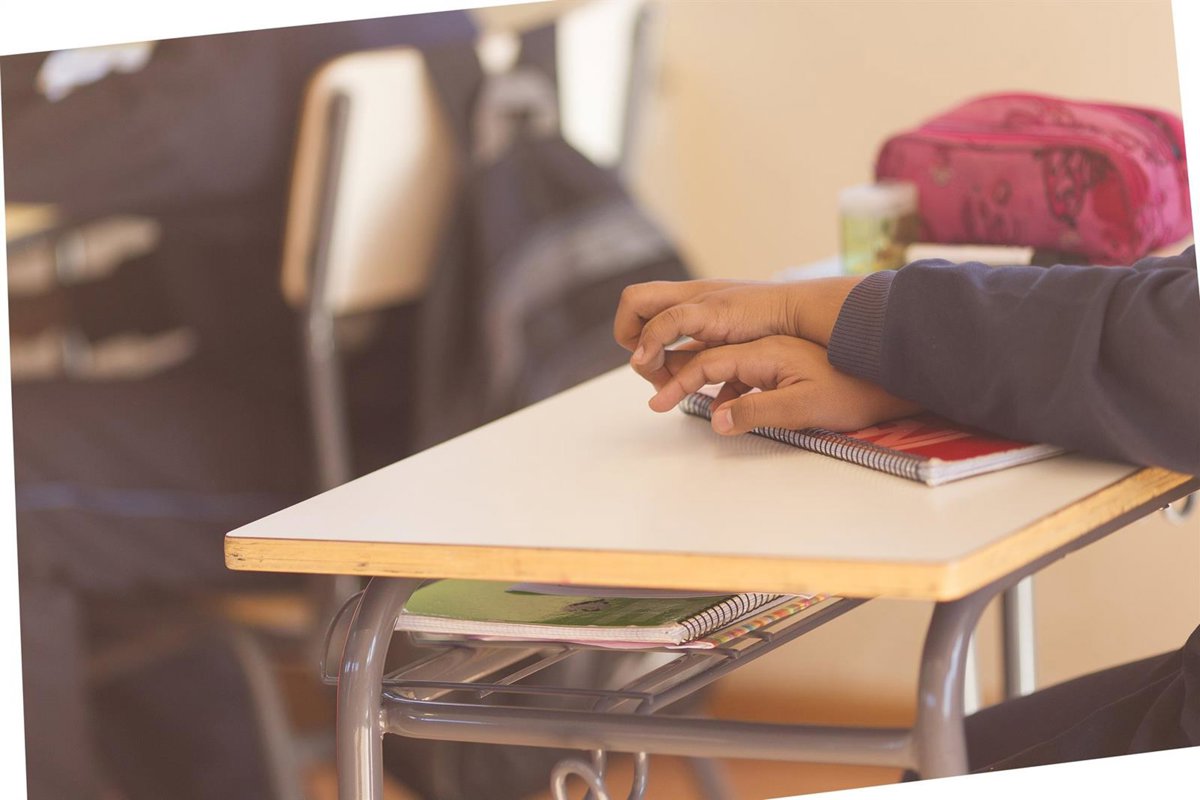 OCDE detecta el "talón de Aquiles" en Primaria y ESO: La disciplina y la atención a alumnos con necesidades especiales