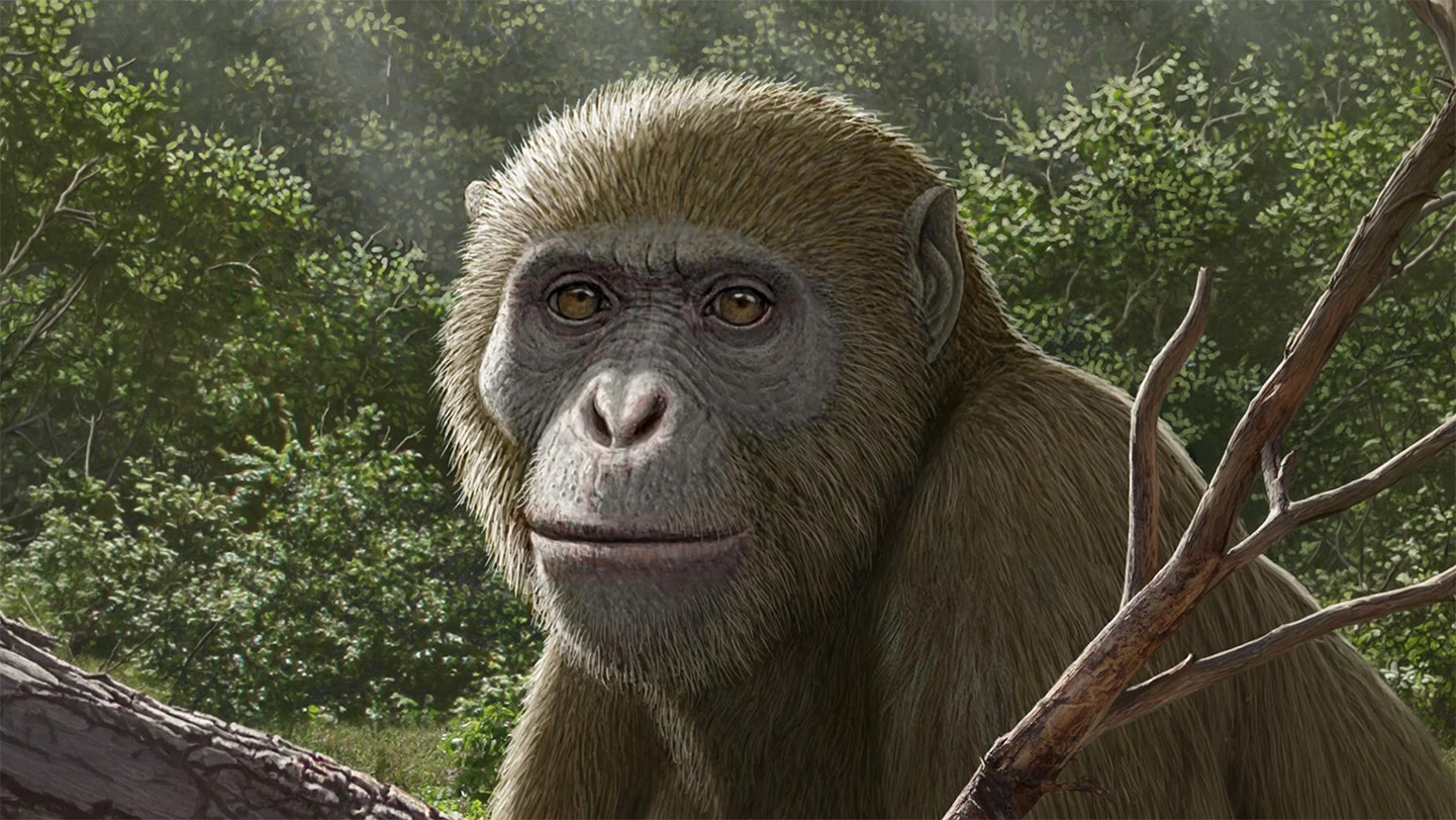 La cuna de la Humanidad fue el Mashrek, no África Occidental
