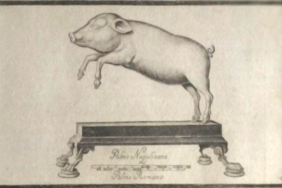 Isidoro Frezza y el redescubrimiento epicúreo