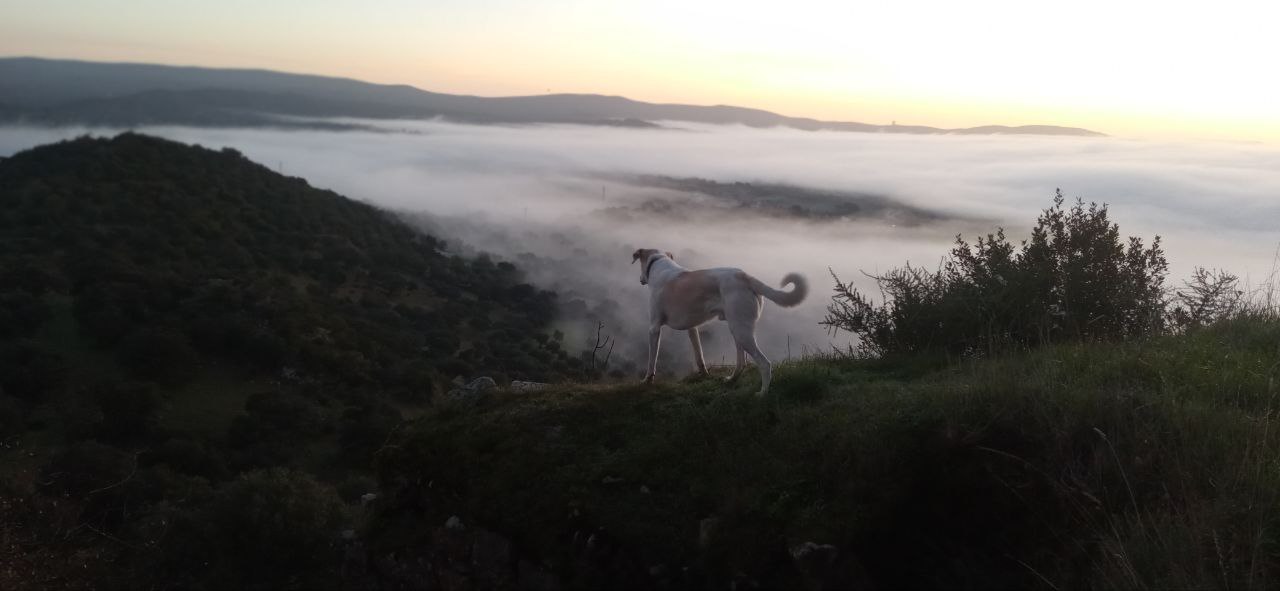 max, burguillos, niebla, horizonte