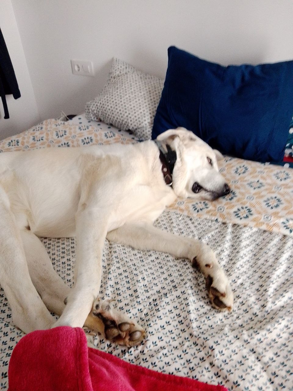 Cuando llegas a la tarde del domingo más cansado de lo que llegaste al viernes.