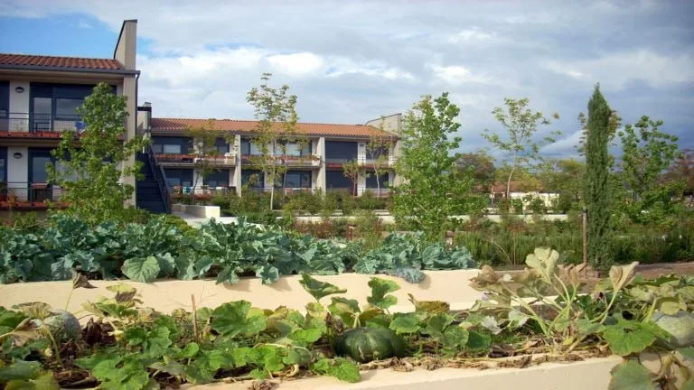 Vivienda en derecho de uso